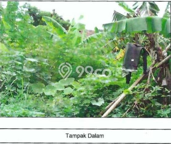 Kavling Tanah Dijual di Bogor Timur Bogor Spesifikasi 597m2 Kavling Tanah Dijual di Bogor Timur Bogor Spesifikasi 597m2