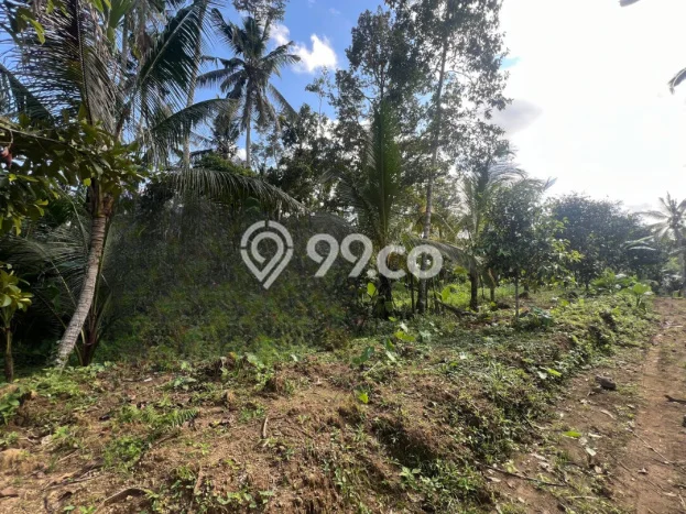 Kavling Tanah Dijual di Payangan, Gianyar, Luas 3257m2 Area Strategis Kavling Tanah Dijual di Payangan, Gianyar, Luas 3257m2 Area Strategis