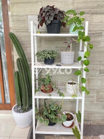 Rumah Modern Minimalis 2 KT Siap Huni di Margahayu Rumah Modern Minimalis 2 KT Siap Huni di Margahayu