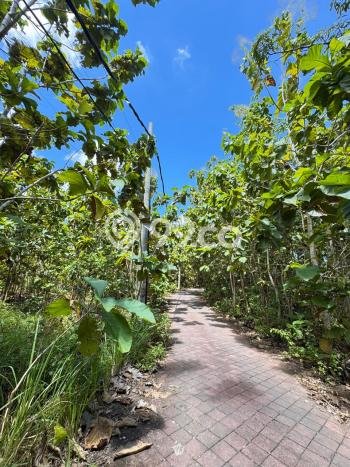 Tanah Dijual Area Strategis di Ungasan Badung 1000m2 Tanah Dijual Area Strategis di Ungasan Badung 1000m2