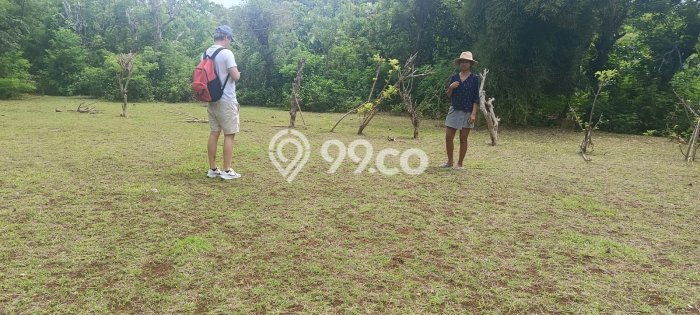 Tanah Kavling Dijual di Balangan, Badung dengan Luas Tanah 300m2 Tanah Kavling Dijual di Balangan, Badung dengan Luas Tanah 300m2