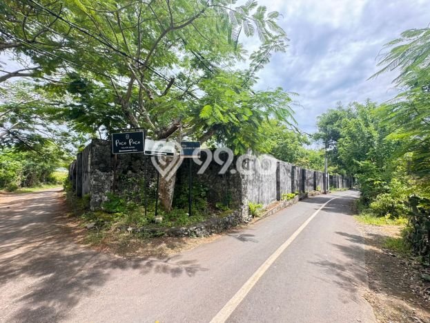 Tanah Siap Bangun Dijual di Badung Punya Luas 1464m2 Tanah Siap Bangun Dijual di Badung Punya Luas 1464m2