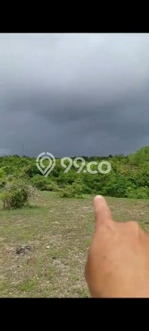 Tanah Kavling Dijual di Badung dengan Spesifikasi 3500m2 Tanah Kavling Dijual di Badung dengan Spesifikasi 3500m2