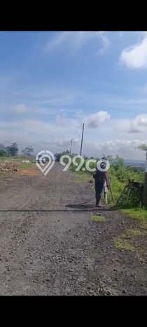 Tanah Kavling Dijual di Tundun Penyu, Badung dengan Luas Tanah 2250m2 Tanah Kavling Dijual di Tundun Penyu, Badung dengan Luas Tanah 2250m2
