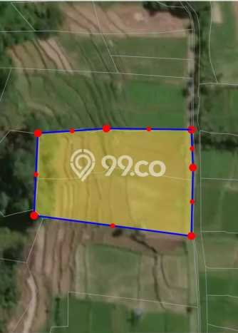 Tanah Kavling Dijual di Kutuh, Badung dengan Luas Tanah 4400m2 Tanah Kavling Dijual di Kutuh, Badung dengan Luas Tanah 4400m2