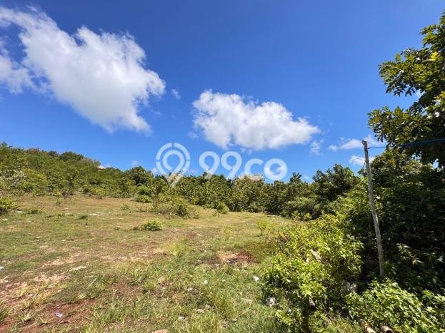 Tanah Dijual Area Strategis di Ungasan Badung 1000m2 Tanah Dijual Area Strategis di Ungasan Badung 1000m2