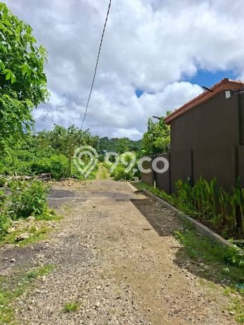 Tanah Kavling Dijual di Balangan, Badung dengan Luas Tanah 300m2 Tanah Kavling Dijual di Balangan, Badung dengan Luas Tanah 300m2