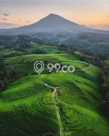 Tanah Kavling Dijual di Kutuh, Badung dengan Luas Tanah 4400m2 Tanah Kavling Dijual di Kutuh, Badung dengan Luas Tanah 4400m2