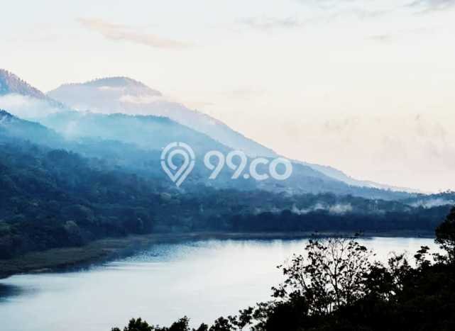 Tanah Dijual Area Strategis di Munduk Buleleng 5000m2 Tanah Dijual Area Strategis di Munduk Buleleng 5000m2