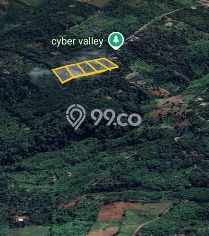 Untuk Dijual Tanah di Buleleng, Luas 2000m2 SHM Untuk Dijual Tanah di Buleleng, Luas 2000m2 SHM