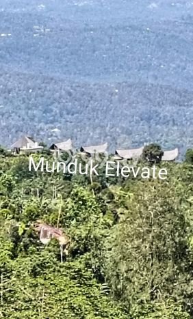 Tanah Dijual Area Strategis di Munduk Buleleng 5000m2 Tanah Dijual Area Strategis di Munduk Buleleng 5000m2