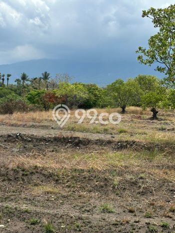 Tanah Dijual Area Strategis di Pecatu Badung 15000m2 Tanah Dijual Area Strategis di Pecatu Badung 15000m2