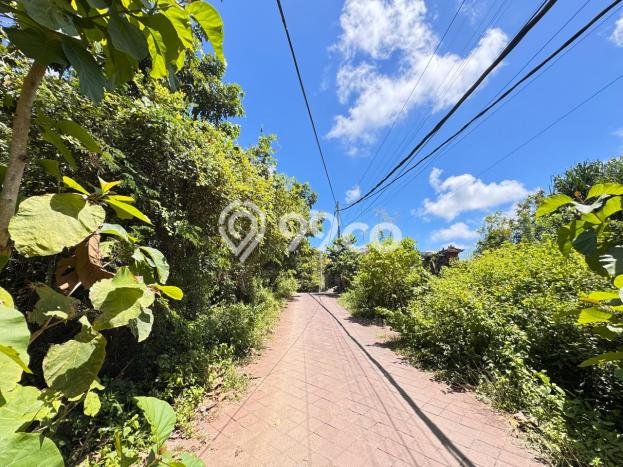 Tanah Dijual Area Strategis di Ungasan Badung 1000m2 Tanah Dijual Area Strategis di Ungasan Badung 1000m2