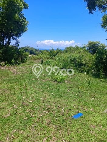 Tanah Kavling Dijual di Badung dengan Spesifikasi 3500m2 Tanah Kavling Dijual di Badung dengan Spesifikasi 3500m2