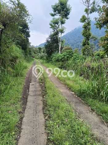 Untuk Dijual Tanah di Buleleng, Luas 2000m2 SHM Untuk Dijual Tanah di Buleleng, Luas 2000m2 SHM
