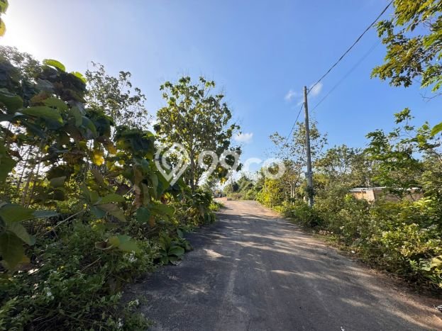 Tanah Dijual di Badung Seluas 3000m2 Strategis Tanah Dijual di Badung Seluas 3000m2 Strategis