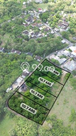 Tanah Dijual Area Strategis di Ungasan Badung 1000m2 Tanah Dijual Area Strategis di Ungasan Badung 1000m2