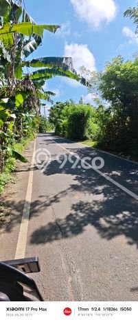 Tanah Dijual Area Strategis di Kutuh Badung 3300m2 Tanah Dijual Area Strategis di Kutuh Badung 3300m2