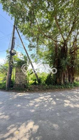 Tanah Dijual di Badung Seluas 380m2 Strategis Tanah Dijual di Badung Seluas 380m2 Strategis