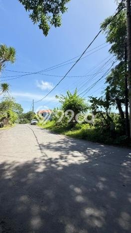 Tanah Dijual di Badung Seluas 380m2 Strategis Tanah Dijual di Badung Seluas 380m2 Strategis