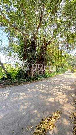 Tanah Dijual di Badung Seluas 380m2 Strategis Tanah Dijual di Badung Seluas 380m2 Strategis