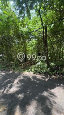 Kavling Tanah untuk Dijual di Ungasan, Badung, Luas 200m2 Kavling Tanah untuk Dijual di Ungasan, Badung, Luas 200m2