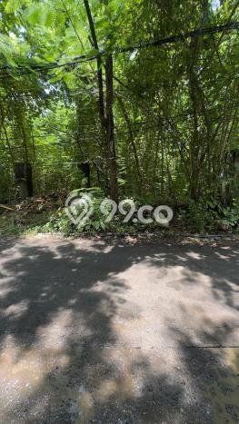 Kavling Tanah untuk Dijual di Ungasan, Badung, Luas 200m2 Kavling Tanah untuk Dijual di Ungasan, Badung, Luas 200m2