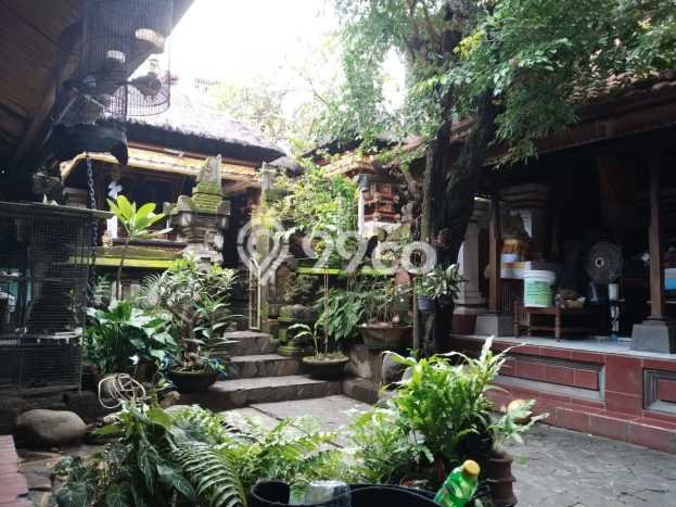 Siap Huni Hunian Elit 5 Kamar di Denpasar Utara Dekat ke Mana Pun Siap Huni Hunian Elit 5 Kamar di Denpasar Utara Dekat ke Mana Pun