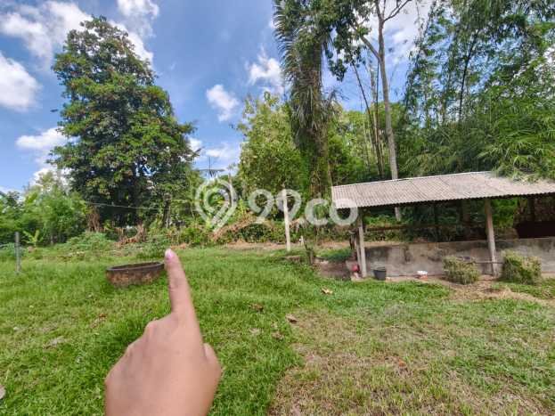 LOKASI STRATEGIS! Tanah di Tabanan, Luas 2156m², Jalur Mudah LOKASI STRATEGIS! Tanah di Tabanan, Luas 2156m², Jalur Mudah