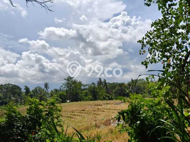 LOKASI STRATEGIS! Tanah di Tabanan, Luas 2156m², Jalur Mudah LOKASI STRATEGIS! Tanah di Tabanan, Luas 2156m², Jalur Mudah