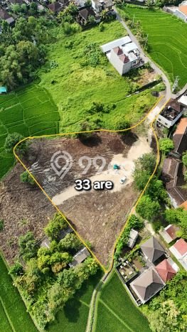 Tanah Kavling Dijual di Badung dengan Spesifikasi 3370m2 Tanah Kavling Dijual di Badung dengan Spesifikasi 3370m2