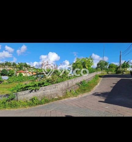 Tanah Investasi Dijual di Badung Punya Luas 5000m2 Tanah Investasi Dijual di Badung Punya Luas 5000m2