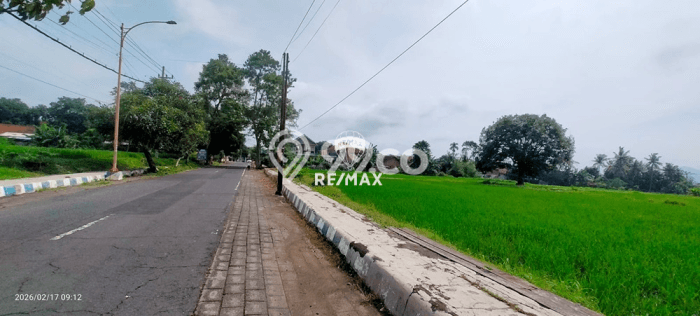Tanah Dijual Lokasi Giri, Banyuwangi Luas 7000m2 Legalitas Aman Tanah Dijual Lokasi Giri, Banyuwangi Luas 7000m2 Legalitas Aman