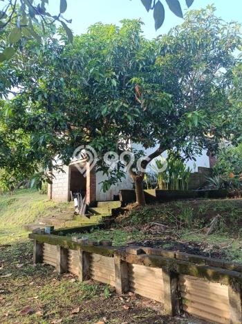 Tanah Kavling untuk Dijual di Sukasada Buleleng 5700m2 Tanah Kavling untuk Dijual di Sukasada Buleleng 5700m2