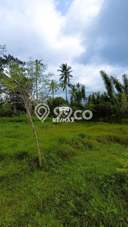 Lahan Kosong Dijual di Kalipuro, Banyuwangi, Luas 570m2 Area Strategis Lahan Kosong Dijual di Kalipuro, Banyuwangi, Luas 570m2 Area Strategis