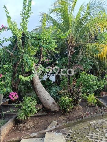 Tanah Kavling untuk Dijual di Sukasada Buleleng 5700m2 Tanah Kavling untuk Dijual di Sukasada Buleleng 5700m2