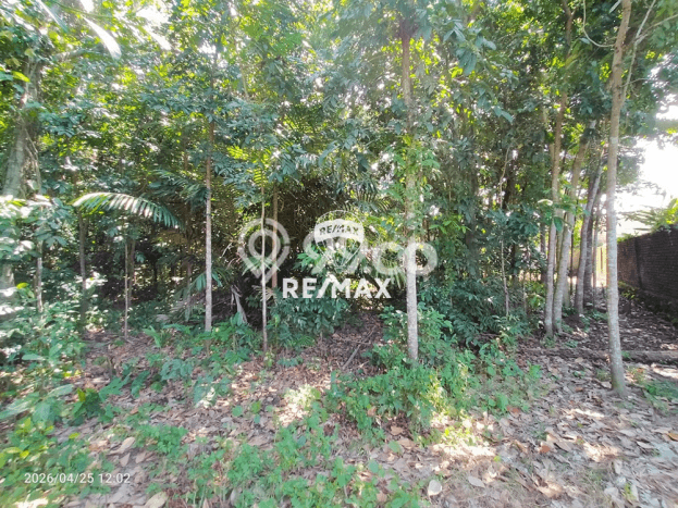 Lahan untuk Dijual Lokasi Gambiran, Banyuwangi Luas 3100m2 SHM Lahan untuk Dijual Lokasi Gambiran, Banyuwangi Luas 3100m2 SHM