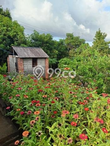 Tanah Kavling untuk Dijual di Sukasada Buleleng 5700m2 Tanah Kavling untuk Dijual di Sukasada Buleleng 5700m2