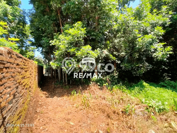 Lahan untuk Dijual Lokasi Gambiran, Banyuwangi Luas 3100m2 SHM Lahan untuk Dijual Lokasi Gambiran, Banyuwangi Luas 3100m2 SHM