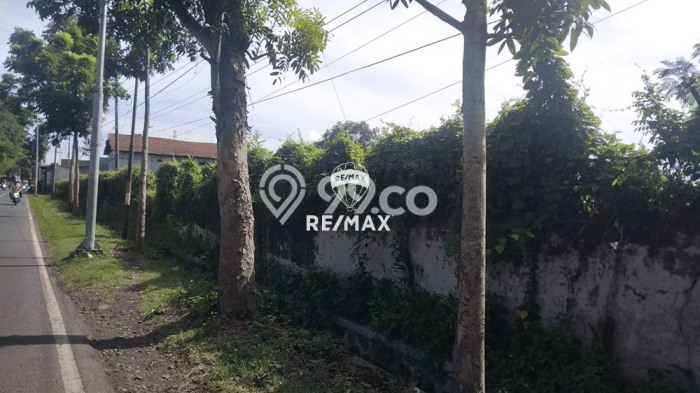 Tanah Dijual Lokasi Kabat, Banyuwangi dengan Luas Tanah 22638m2 dan Status SHM Tanah Dijual Lokasi Kabat, Banyuwangi dengan Luas Tanah 22638m2 dan Status SHM