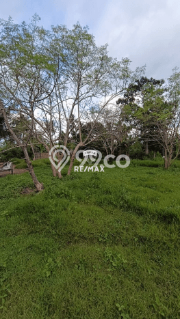 Lahan Kosong Dijual di Kalipuro, Banyuwangi, Luas 570m2 Area Strategis Lahan Kosong Dijual di Kalipuro, Banyuwangi, Luas 570m2 Area Strategis