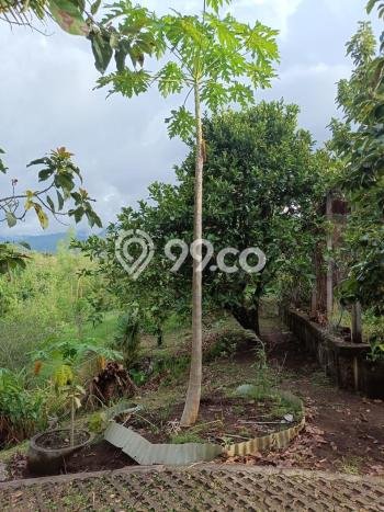 Tanah Kavling untuk Dijual di Sukasada Buleleng 5700m2 Tanah Kavling untuk Dijual di Sukasada Buleleng 5700m2