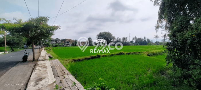 Tanah Dijual Lokasi Giri, Banyuwangi Luas 7000m2 Legalitas Aman Tanah Dijual Lokasi Giri, Banyuwangi Luas 7000m2 Legalitas Aman