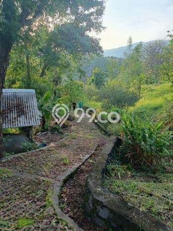 Tanah Kavling untuk Dijual di Sukasada Buleleng 5700m2 Tanah Kavling untuk Dijual di Sukasada Buleleng 5700m2