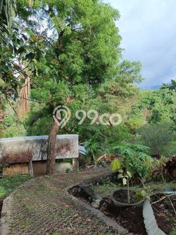 Tanah Kavling untuk Dijual di Sukasada Buleleng 5700m2 Tanah Kavling untuk Dijual di Sukasada Buleleng 5700m2
