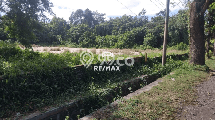 Tanah Dijual Lokasi Kabat, Banyuwangi dengan Luas Tanah 22638m2 dan Status SHM Tanah Dijual Lokasi Kabat, Banyuwangi dengan Luas Tanah 22638m2 dan Status SHM