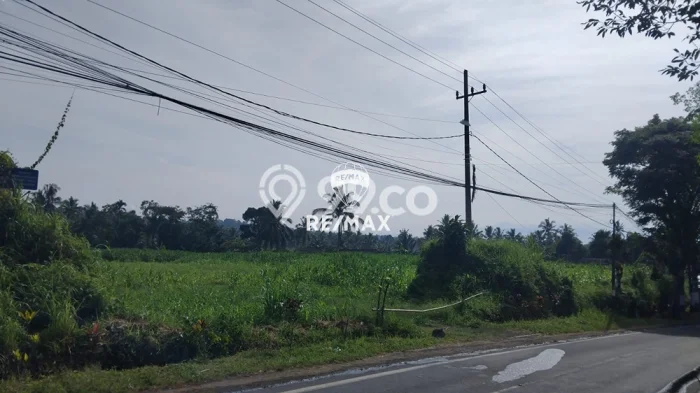 Tanah Komersial Dijual di Licin Banyuwangi 10823m2 Tanah Komersial Dijual di Licin Banyuwangi 10823m2