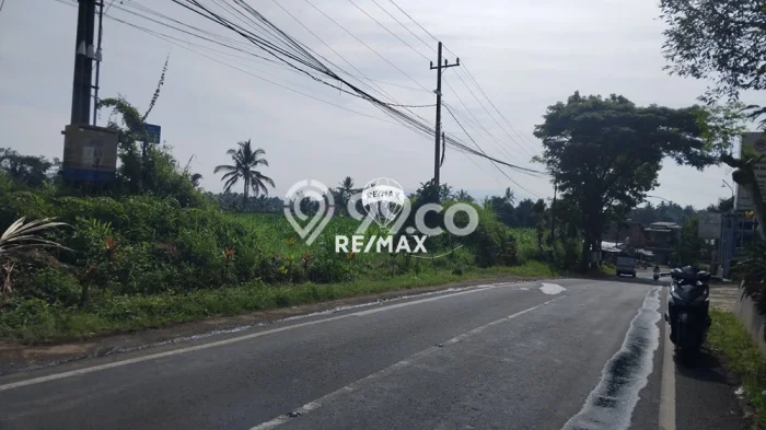 Tanah Komersial Dijual di Licin Banyuwangi 10823m2 Tanah Komersial Dijual di Licin Banyuwangi 10823m2