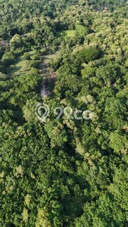 Dijual Tanah Lokasi Nusa Dua, Badung Seluas 53890m2 Dijual Tanah Lokasi Nusa Dua, Badung Seluas 53890m2
