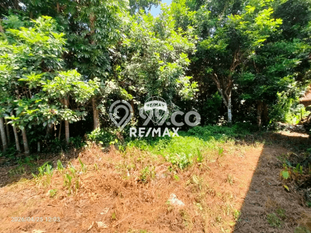 Lahan untuk Dijual Lokasi Gambiran, Banyuwangi Luas 3100m2 SHM Lahan untuk Dijual Lokasi Gambiran, Banyuwangi Luas 3100m2 SHM
